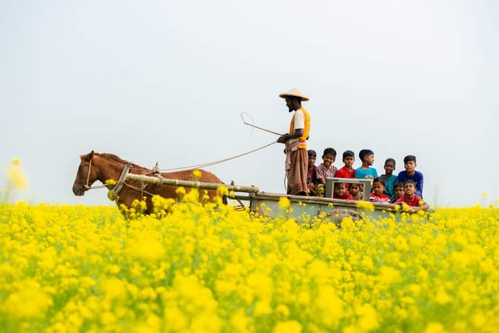 সহজ সরল বাংলার মানুষ