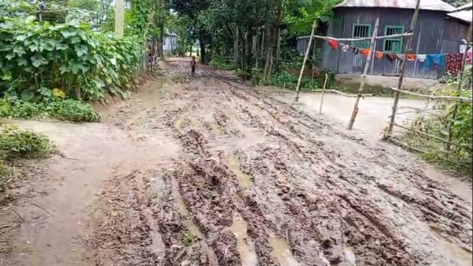 ধনবাড়ী উপজেলার মমিনপুর গ্রামের কাঁচা সড়কে চলাচলে দুর্ভোগ