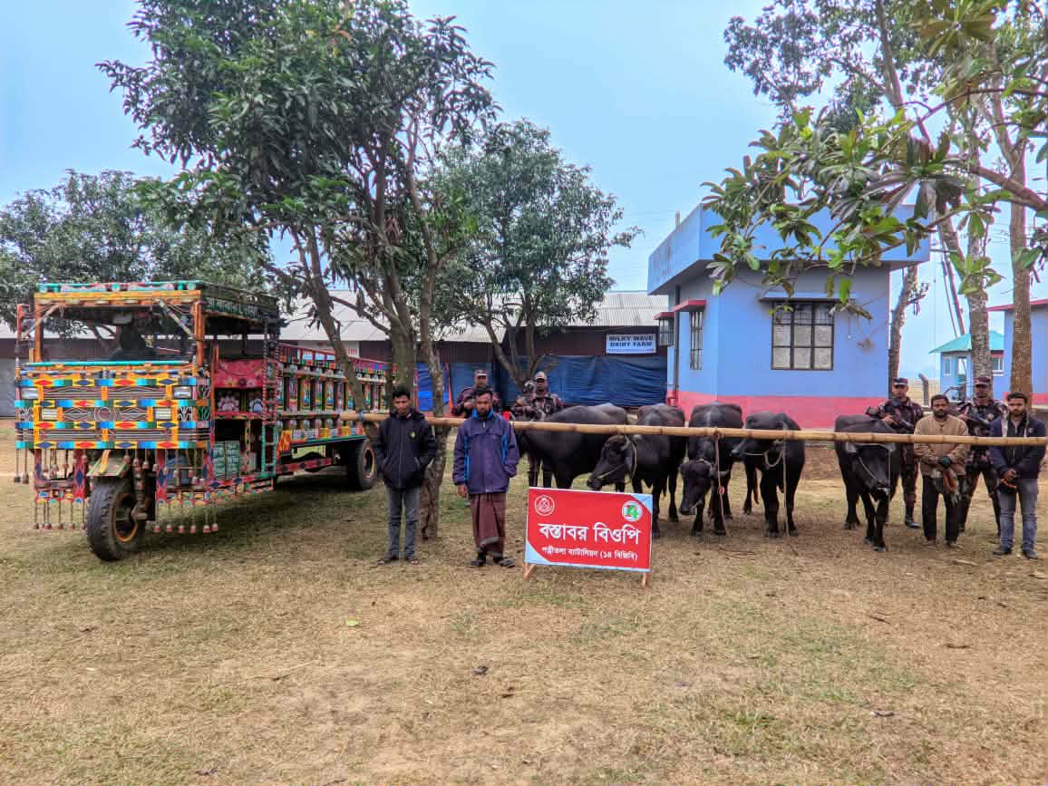 ধামইরহাট সীমান্তে ৪ চোরাকারবারীসহ ৬টি মহিষ আটক করেছে বিজিবি