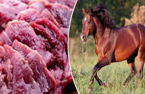 গরুর মাংস বলে ঘোড়ার মাংস বিক্রি, একজনের জেল-জরিমানা